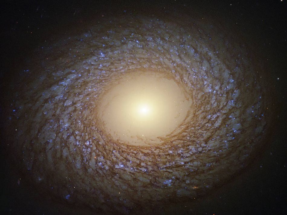 Hubble'ın muhteşem yeni fotoğrafı "Fluffy' galaksi görüntülerine göz atın 1