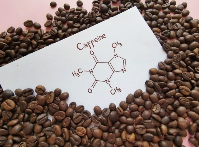 Günlük kafein tüketimi beynin gri maddesini değiştirebilir