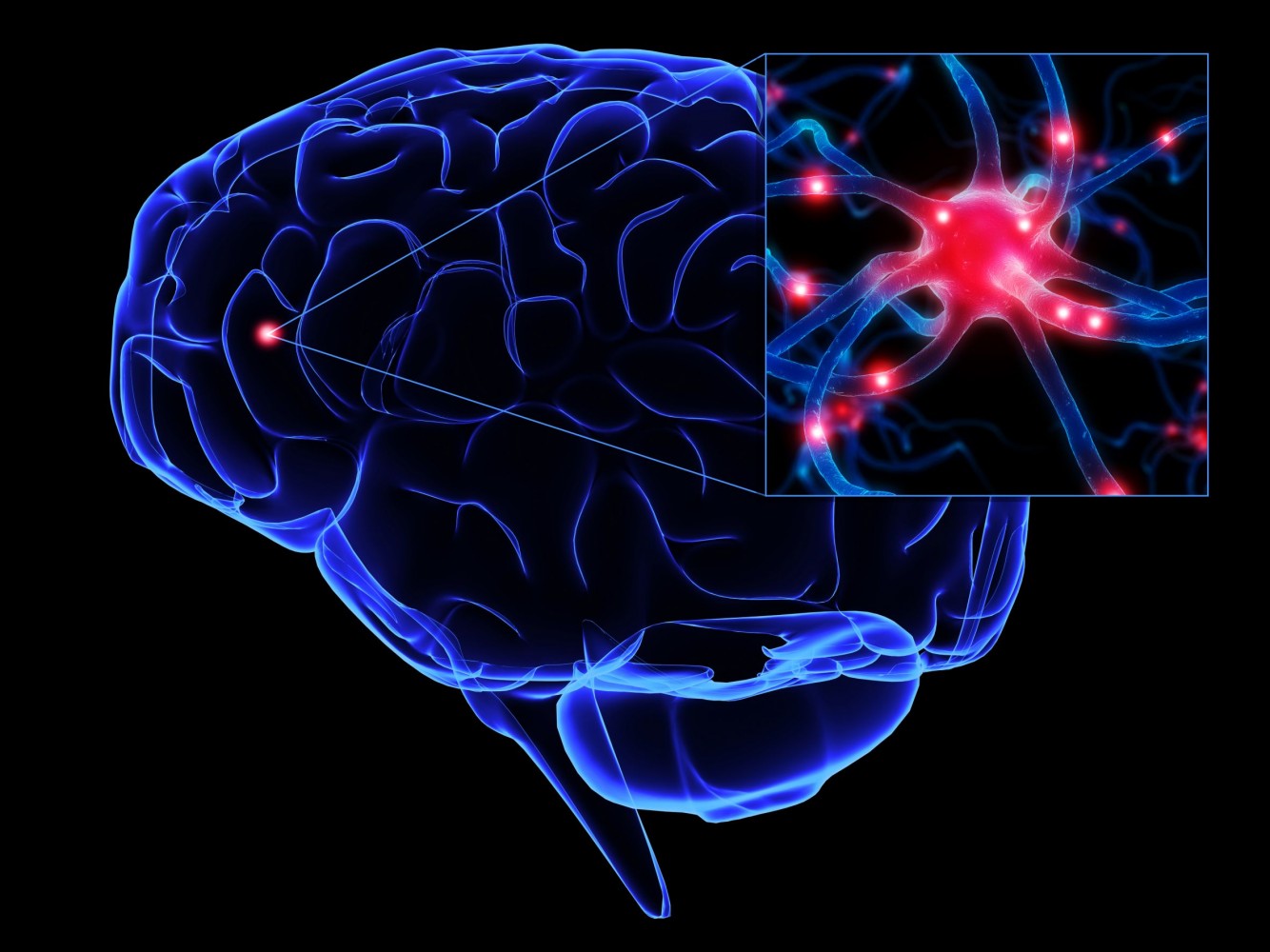 "Açlık" Nöronları Depresyon Tedavisinde Yeni Hedefler Gösteriyor