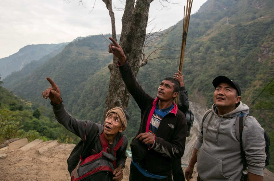 Nepal'in bal avcıları hayatlarını nasıl riske atıyor? 1