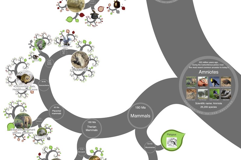 The Tree of All Known Life Published Online