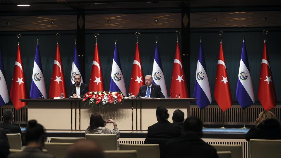 Erdogan: Turkiye wants peace in region, will travel to Ukraine in February