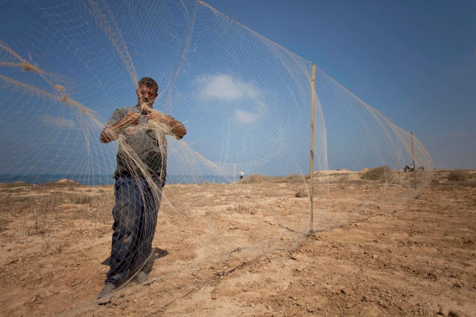 Gazze'nin kuş yakalama mevsiminde avcılar av oldu