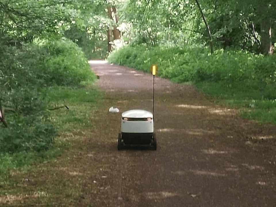 The "sad, sad" delivery robot in the woods made headlines on Twitter