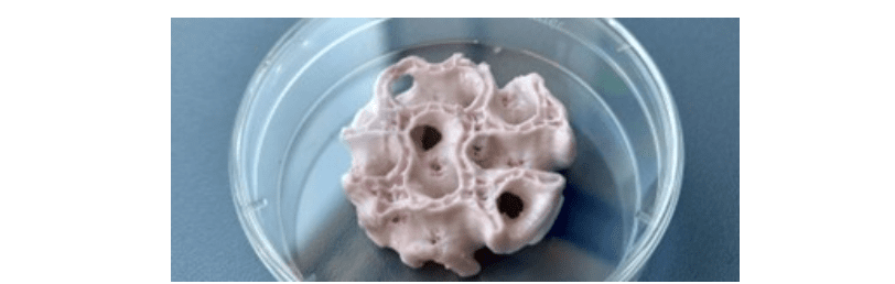Human TISSUE (SKIN) and BONE Produced with 3D Printer for Astronauts