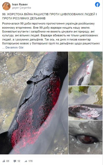 Thousands of dolphins died due to the Russian-Ukrainian war 2
