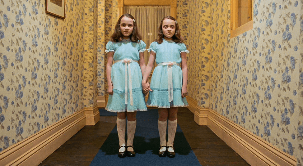 They have long been a potent subject for fiction: Why are identical twins so fascinating to us? 2