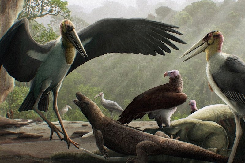 Huge Storks Flying Over 'Hobbit' People 1