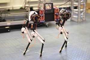 Robot Dog Learned to Walk in Just One Hour