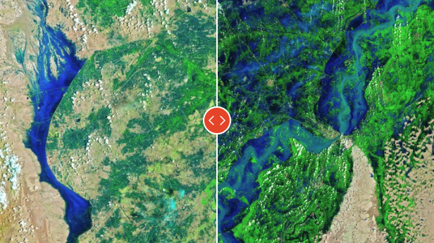 Spiegel: Satellite image of the week, Drought everywhere 6