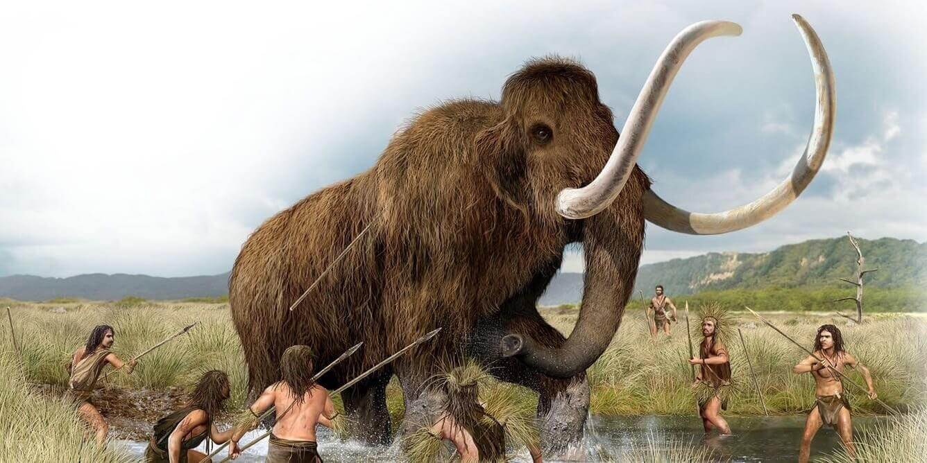 The world's oldest DNA has been discovered, revealing an ancient Arctic forest teeming with Mastodons