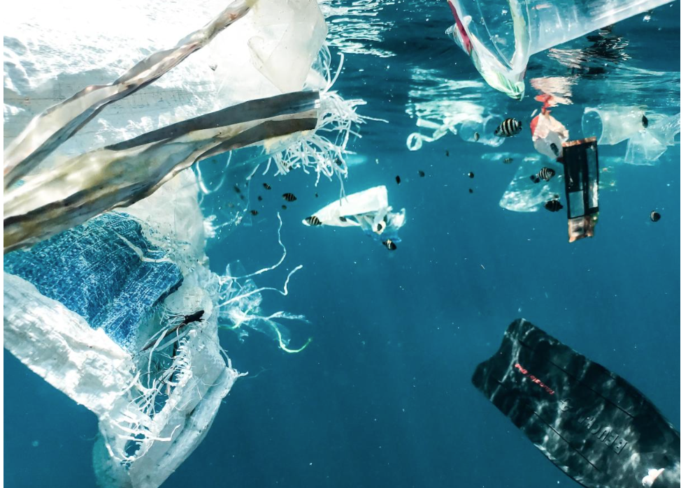 Microplastics can reach the brain two hours after consumption