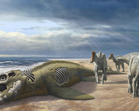 Astonishing Discovery: Fossil Dinosaur with Duckbill Found in Africa!