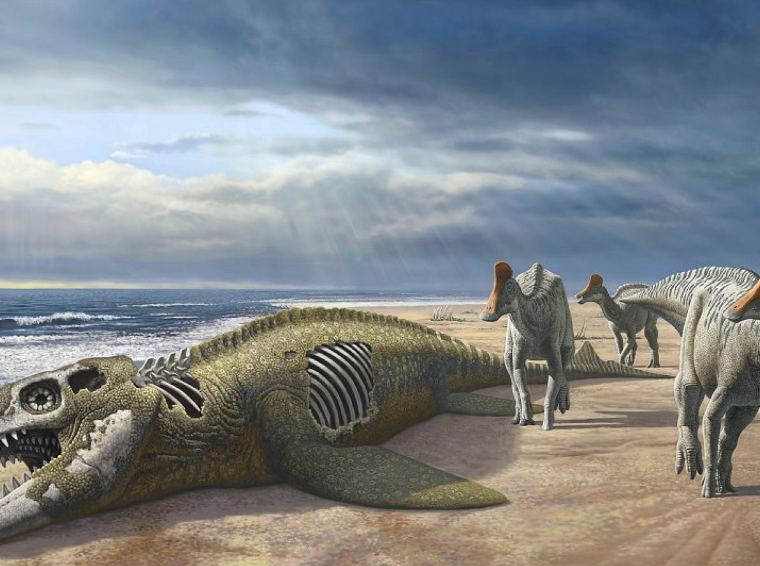 Astonishing Discovery: Fossil Dinosaur with Duckbill Found in Africa!
