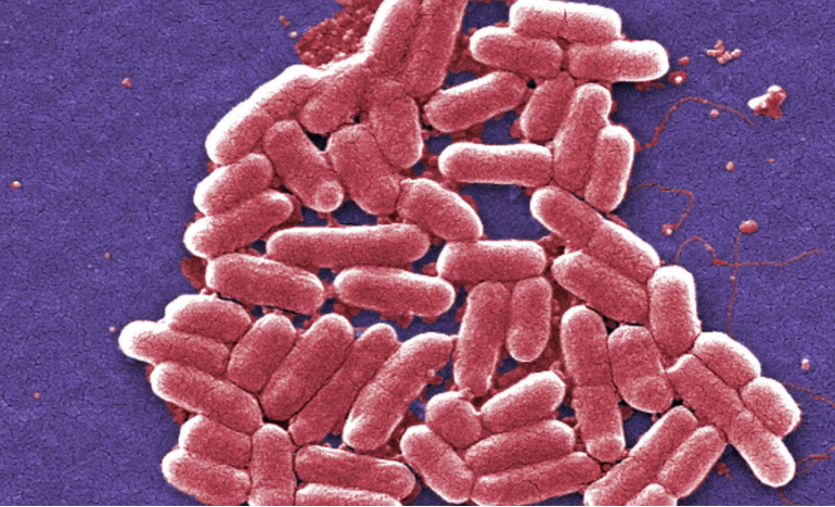 Scientists develop new synthetic antibiotic effective against drug-resistant bacteria