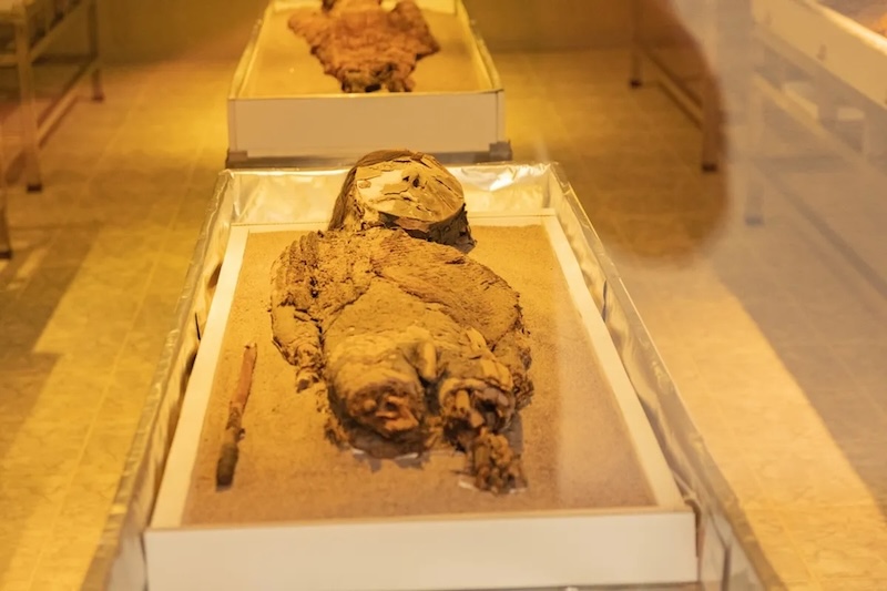 Chile's Mummies Thousands of Years Older Than Egypt's 1