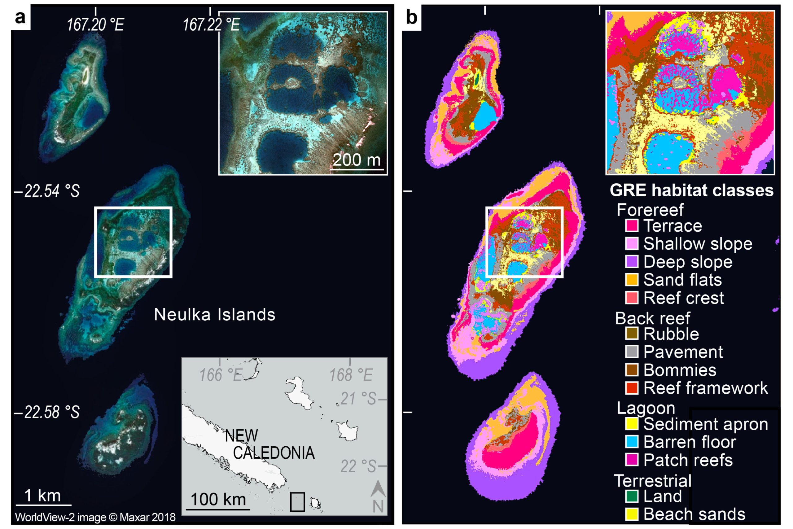 Satellites map global coral reef biodiversity, guiding conservation efforts 1