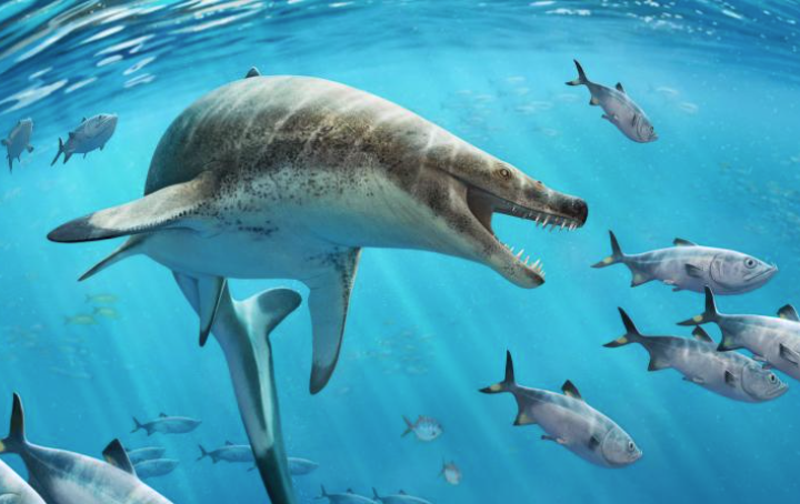 Dinosaur-era giant sea lizard species with 'scary face' discovered
