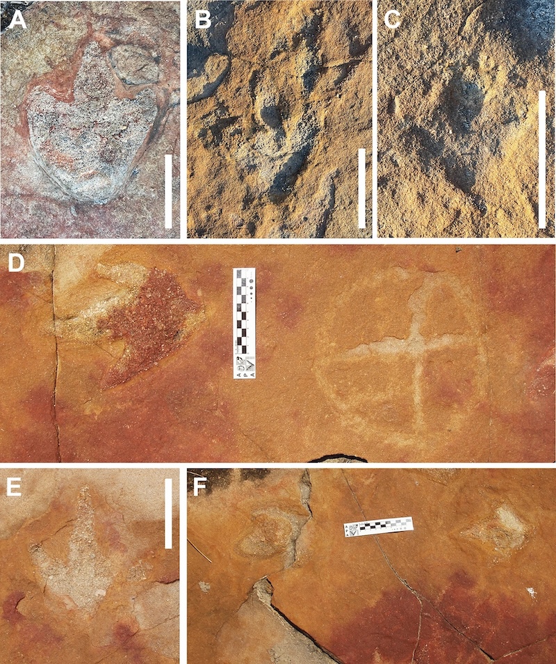 Dinosaur Footprints Inspired Ancient People in Brazil