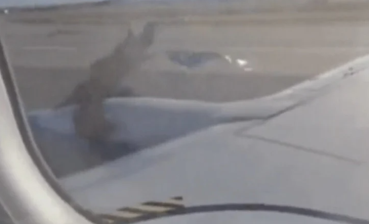 Airplane Terrified by Falling Engine Cover on Takeoff