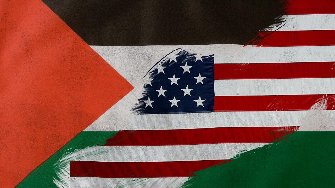 US vetoes draft resolution calling for Palestine's full UN membership